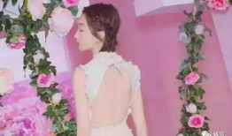 吃瓜爆料杨紫王子文,娱乐圈新CP吃瓜热议